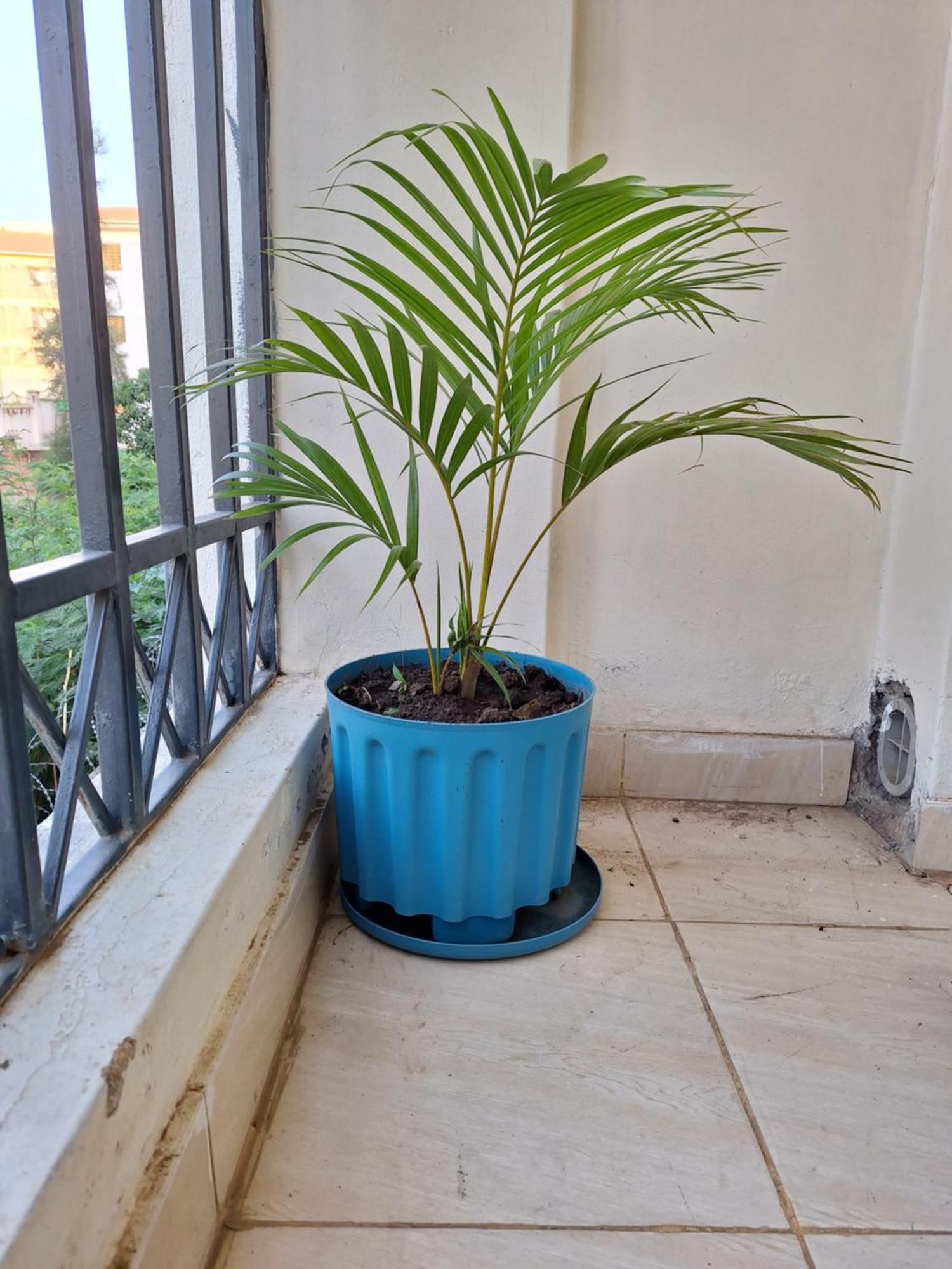 Apartment Stylish 1br In Kisumu: Fast Wi-fi, Netflix, Secure Parking *